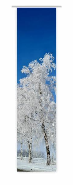 Flächenvorhang Die Traumallee, Schiebevorhang, Schiebegardine, modern, 60 cm breit, 2,